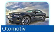 Otomotiv